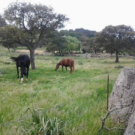 Mendulas