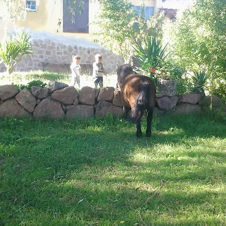 Mendulas Bed and breakfast Villanova Monteleone