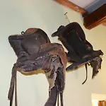 Mendulas
