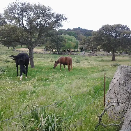 Mendulas