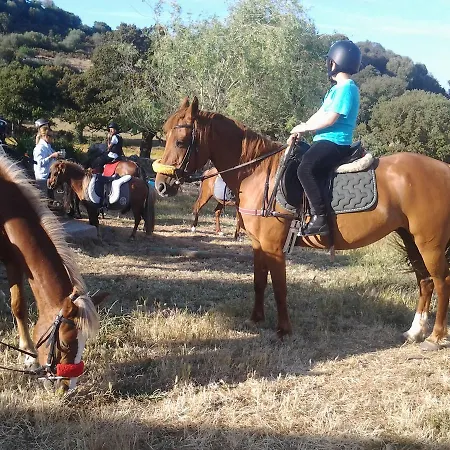 Mendulas * Villanova Monteleone