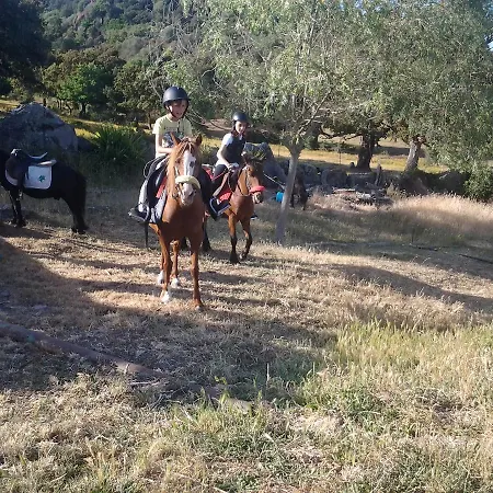 Mendulas Bed & Breakfast *