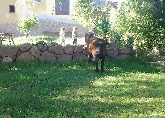 Mendulas Bed and breakfast Villanova Monteleone